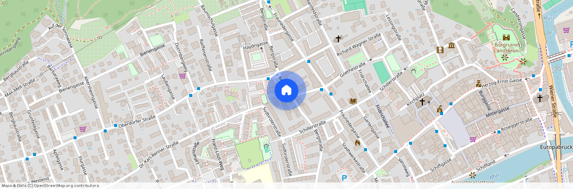 Bergstraße 21, 8600, Bruck An Der Mur