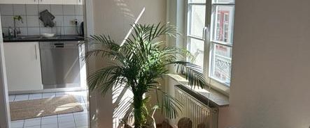 Wohnungstausch: 3-Zimmer-Altstadtwohnung in Mainz gegen 2-Z-Whg - Foto 1