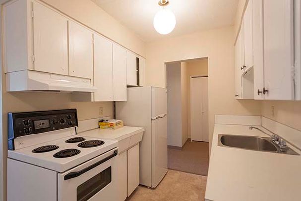 Holly Tree Apartments - 1 Bedroom - Photo 1