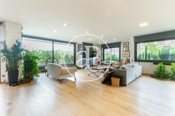 Flat for rent in Passeig de la Bonanova - Photo 1