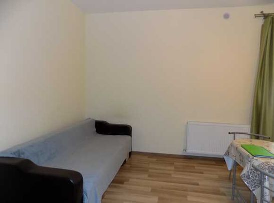 Garsoniera de inchiriat, 30 mp, parcare, prima inchiriere, zona Iulius Mall - Photo 1