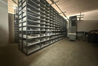 Capannone in affitto