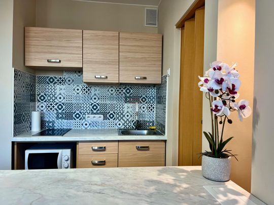 Kawalerka na wynajem w dobrej lokalizacji - Zdjęcie 1