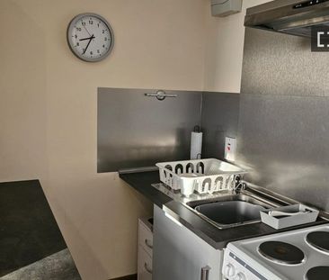 Studio for rent in Dublin - Photo 3