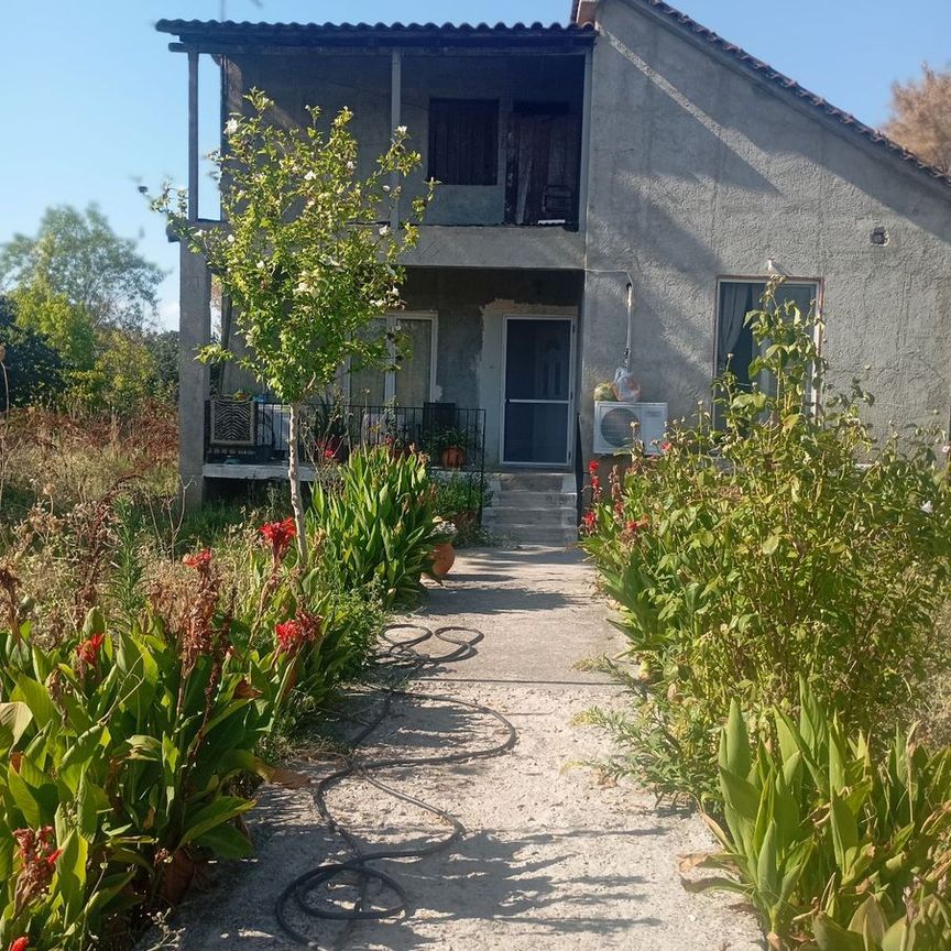 Μονοκατοικία για ενοικίαση Πρόδρομος (Κάμπος) - Photo 1