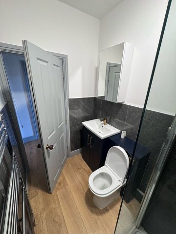 1 Bed Flat, Lewisham High Street, SE13 - Photo 5