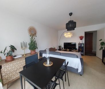 Location Appartement 1 pièce 36m² DAX 40100 - Photo 1