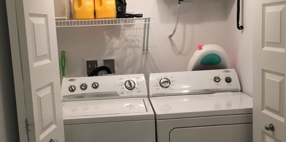 Juillet Gratuit ! Apparemment 2 Cc - Photo 3