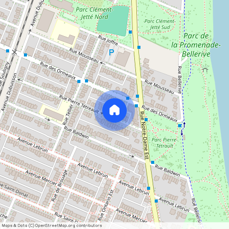 559 Rue Pierre-Tétreault H1L4Y6, Montreal