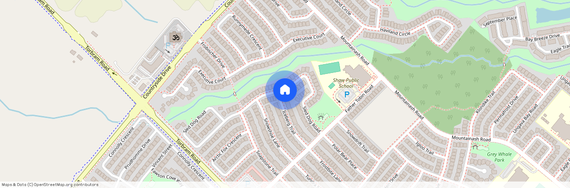 45 Iceberg Trail, Brampton