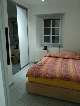 Joli appartement meublé de 2 pièces au Locle - Photo 1