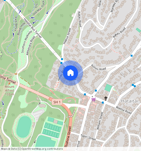 61 Waitoa Road, Hataitai, Wellington City