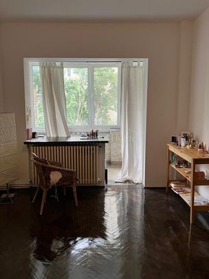 Three Bedroom Flat with Fireplace and Peaceful View - Cismigiu Park - Photo 1