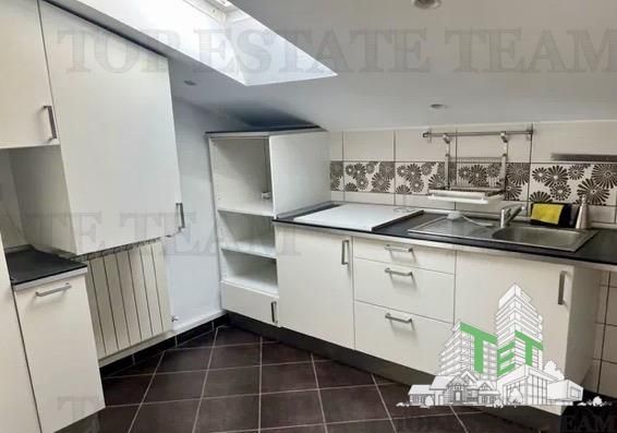 Vila cu 7 camere de închiriat în Floreasca - Fotografie 1
