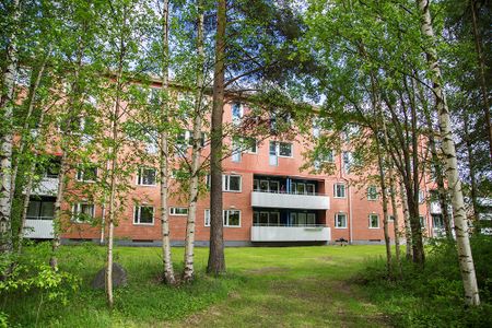 Ankarskatavägen 81 B, 94134, Piteå - Photo 3