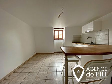 Location Appartement 1 pièce 39m² VILLE 67220 - Photo 2
