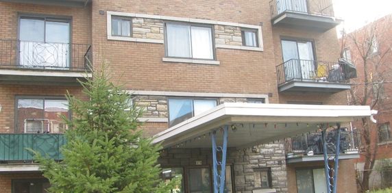 Amazing Studio In CDN - Photo 2