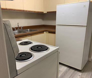 2 bedroom, 1 bathroom Basement in Waskasoo - Photo 4