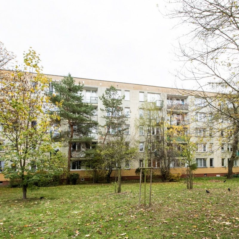 TAK dla ZWIERZĄT, 3 oddzielne pok, widna kuchnia - Фото 1