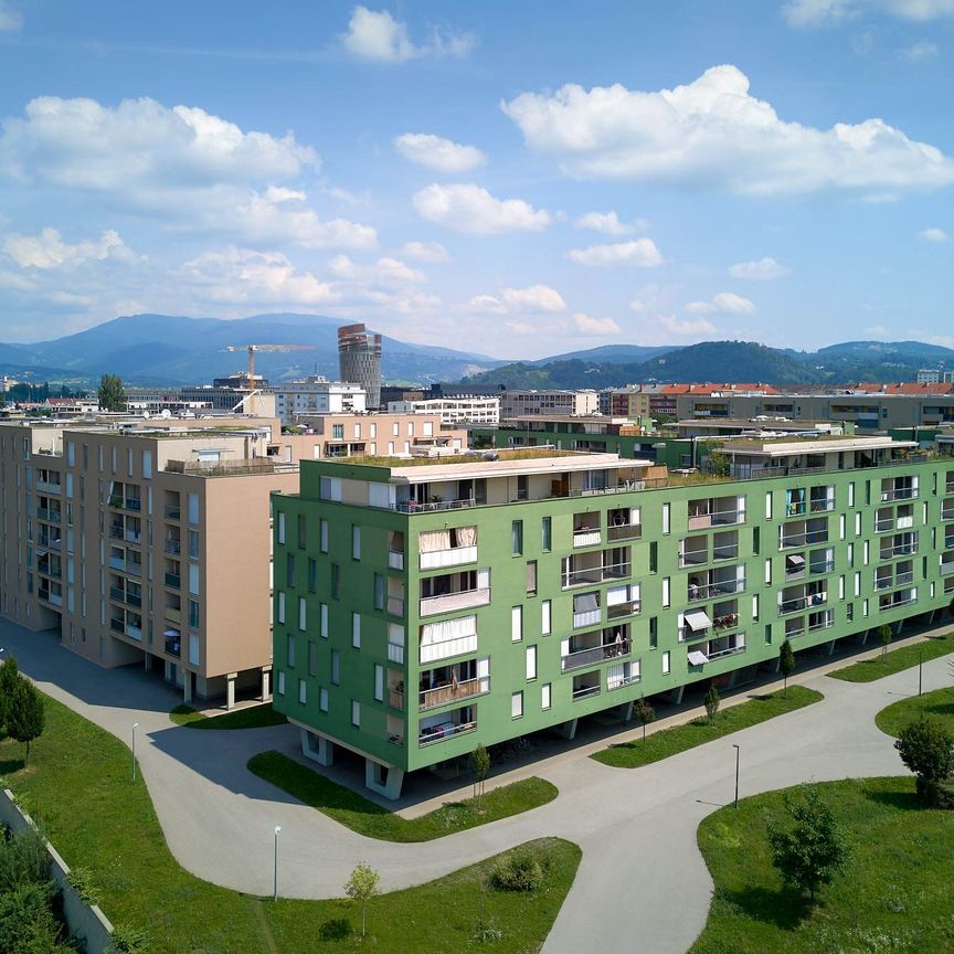 2,5-Zimmer-Wohnung - Foto 1