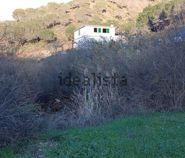Alquiler de casa o chalet independiente en Via Sin Nombre Los Guape... - Photo 4