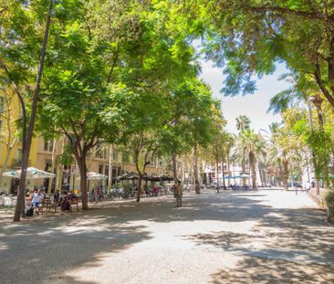 Rambla del Raval, Barcelona, Catalonia 8001 - Photo 3