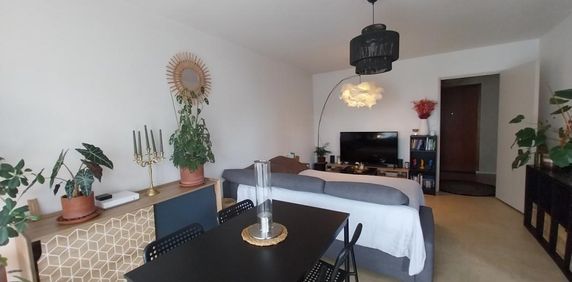 Location Appartement 1 pièce 36m² DAX 40100 - Photo 2