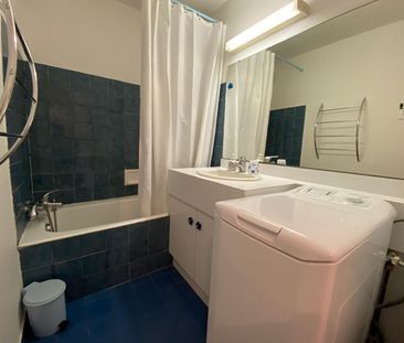 Location Appartement 1 pièce 37m² - Photo 3