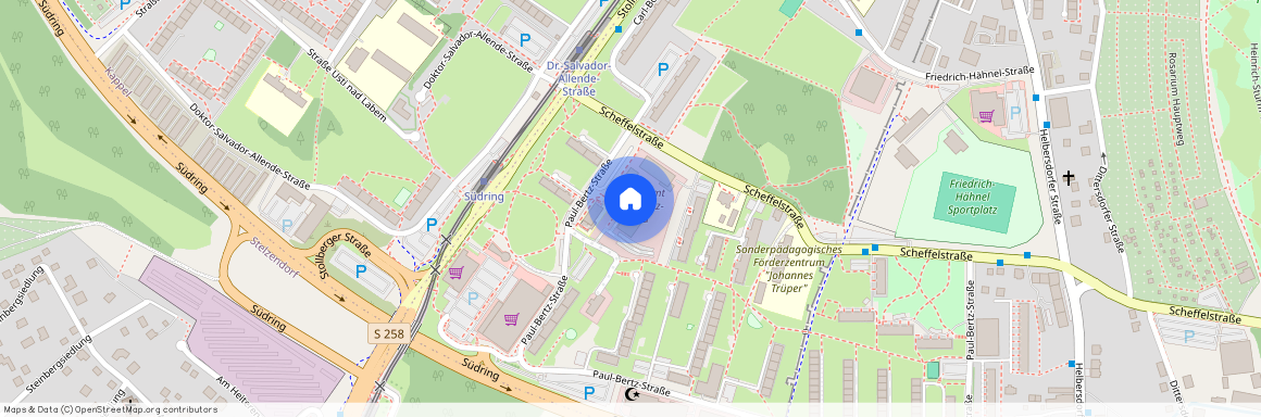 Paul-Bertz-Straße 7, 09120 Chemnitz