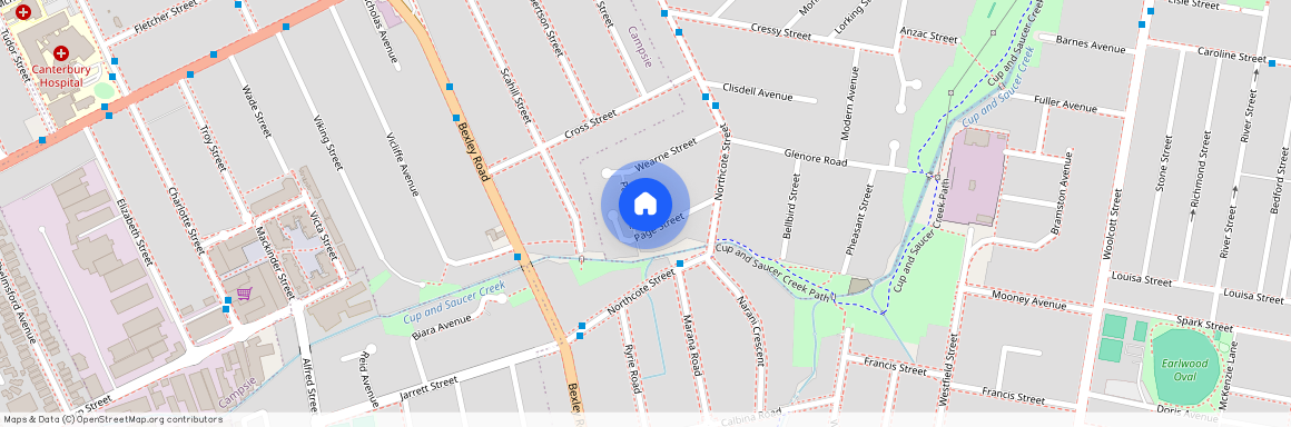 11 Page Street, NSW 2193, Canterbury