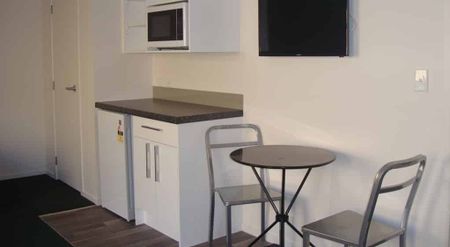 Furnished Studio Unit - Photo 4