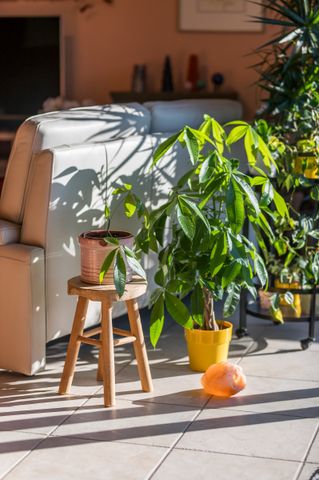 Goed gelegen 2 slaapkamer appartement met terras en garage - Foto 4