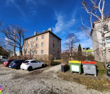 PROVISIONSFREI! BASTLERHIT! - Photo 1