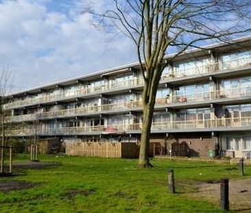 Spinaker 0ong, 1034 MD Amsterdam, Nederland - Foto 1