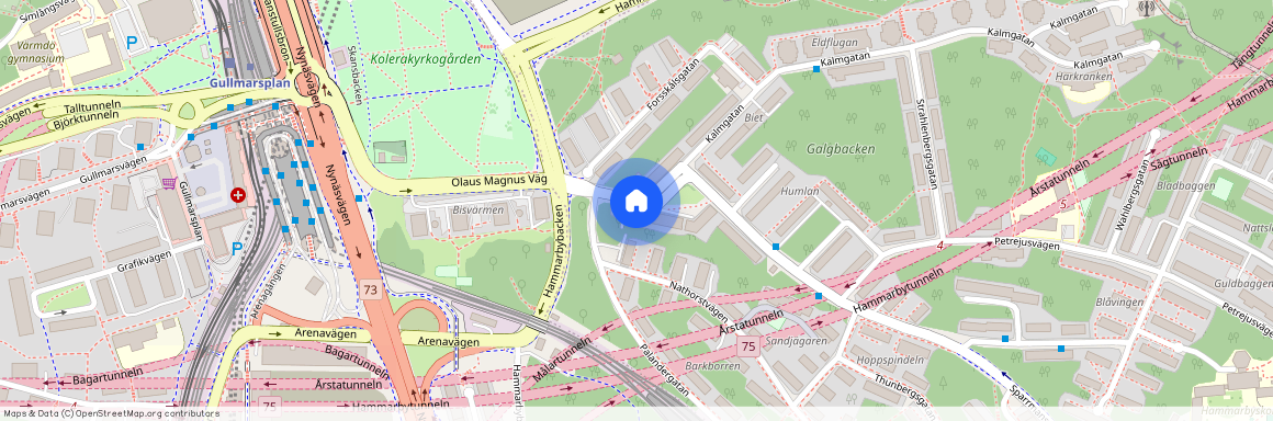 Olaus Magnus Väg 10, Hammarbyhöjden