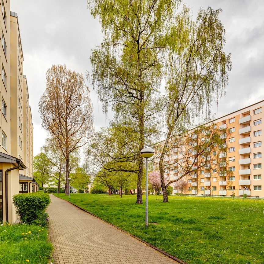 2-Zimmer Wohnung in guter Wohnlage, ruhig gelegen - Photo 1