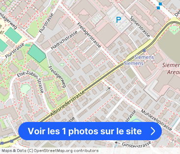 ALBIS276 - Living in style on the Uetliberg. - Photo 1