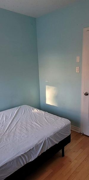 1 CH - 1 SDB - Montréal - $880 /mo - Photo 1