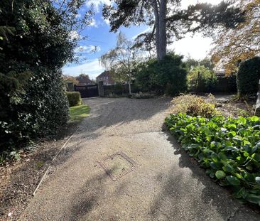 3 bedroom detached house to rent - Photo 6