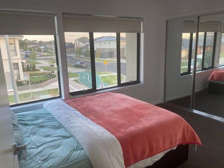 Donnybrook - Photo 2