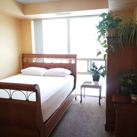 1 bedroom condo Bloor/Islington near Subway $2300 - Photo 4