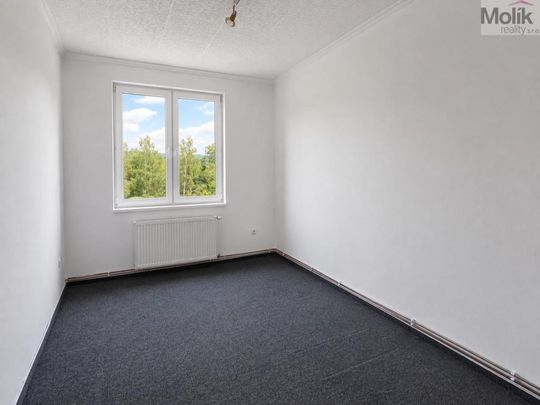 Pronájem bytu 3+1 90 m2 - Photo 1