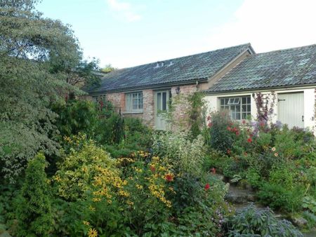 Uffculme - Photo 5