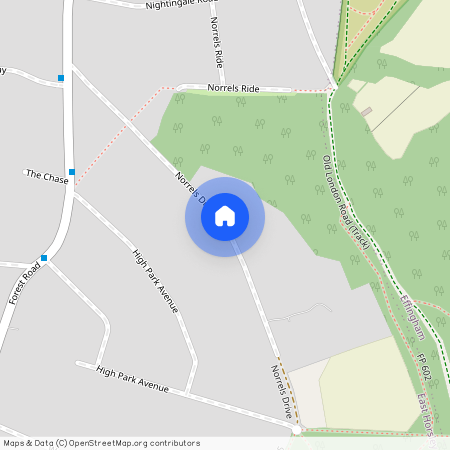 Norrels Drive East Horsley