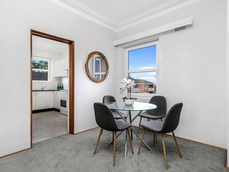 Renovated Sun-Filled And Spacious Two Bedroom Apartment Close To All Amenities - Entry Off Lindsay Street - Photo 5