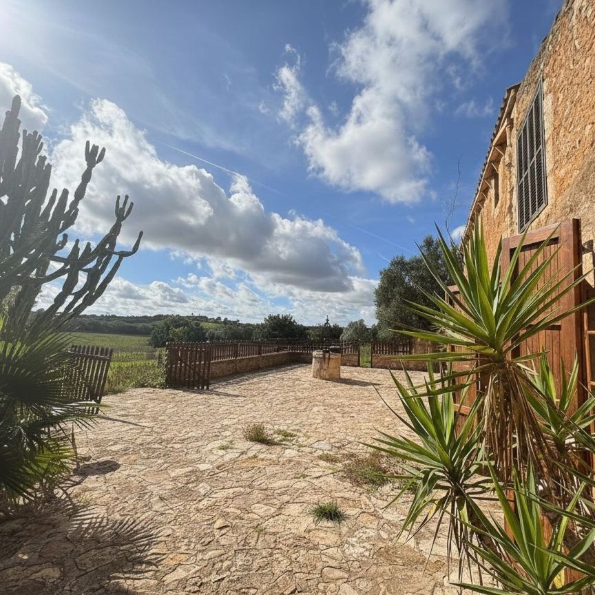 Casa o chalet de alquiler en Vilafranca de Bonany - Calle Carmen , 32, Vilafranca de Bonany - Photo 1