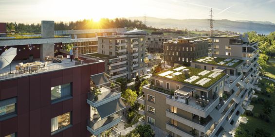 1.5-Zimmerwohnung im CHAMA-Areal - Photo 3