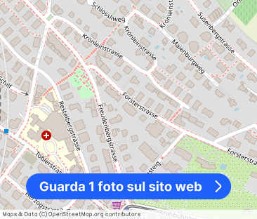 Charming apartment on the Zürichberg - RENT WITHOUT DEPOSIT - Foto 1