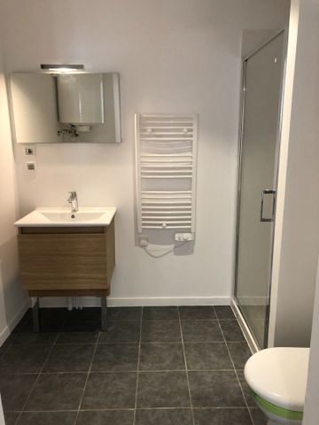 Location Appartement 1 pièce 29m² - Photo 4