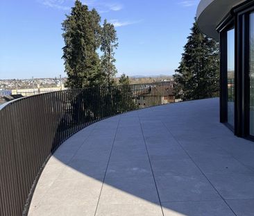 Modernes Attikawohnen im Neubau - 4.5 Zimmer mit riesiger Terrasse - Foto 6